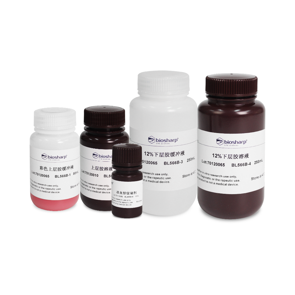 Biosharp BL566B 12% SDS-PAGE彩色凝胶快速制备试剂盒