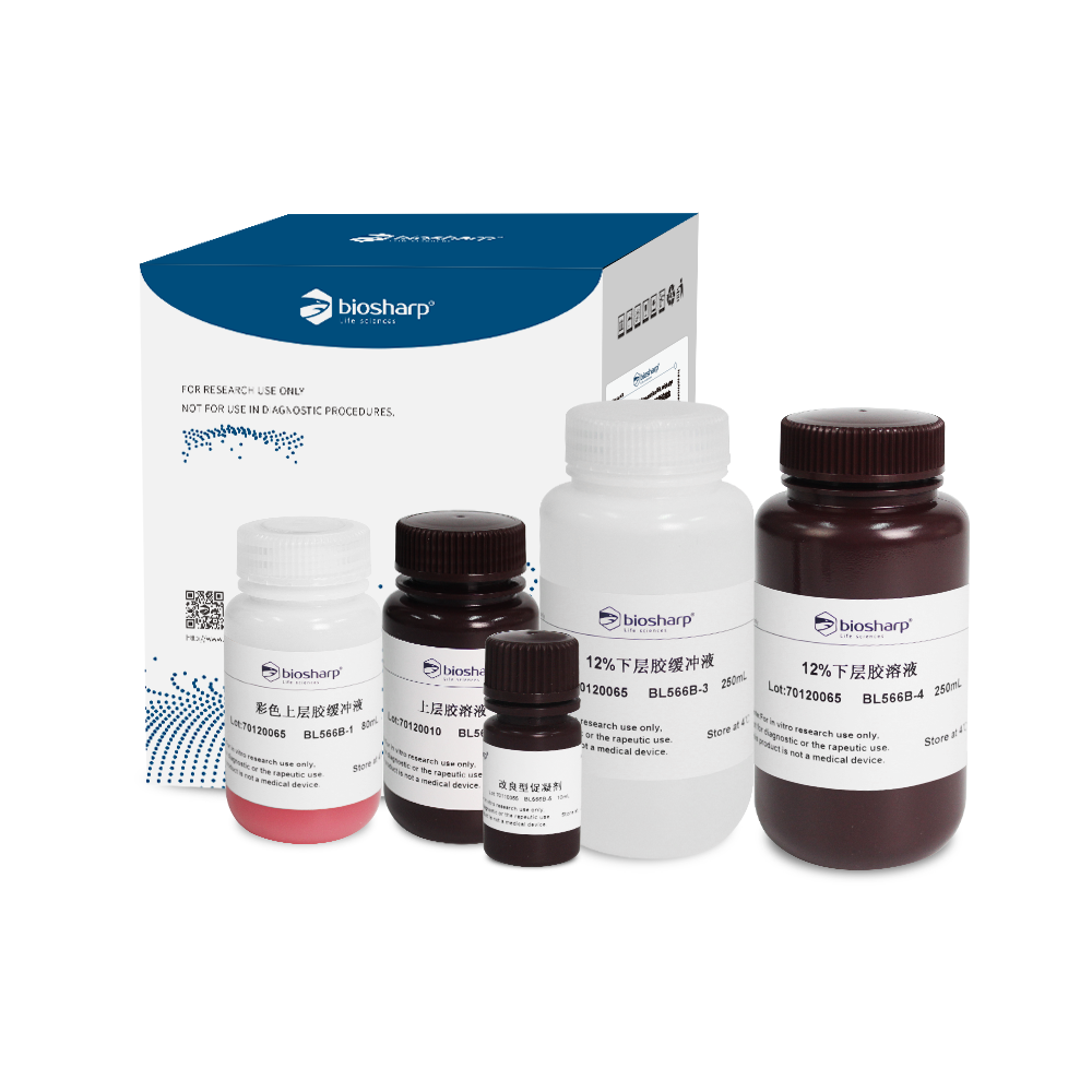 Biosharp BL566B 12% SDS-PAGE彩色凝胶快速制备试剂盒