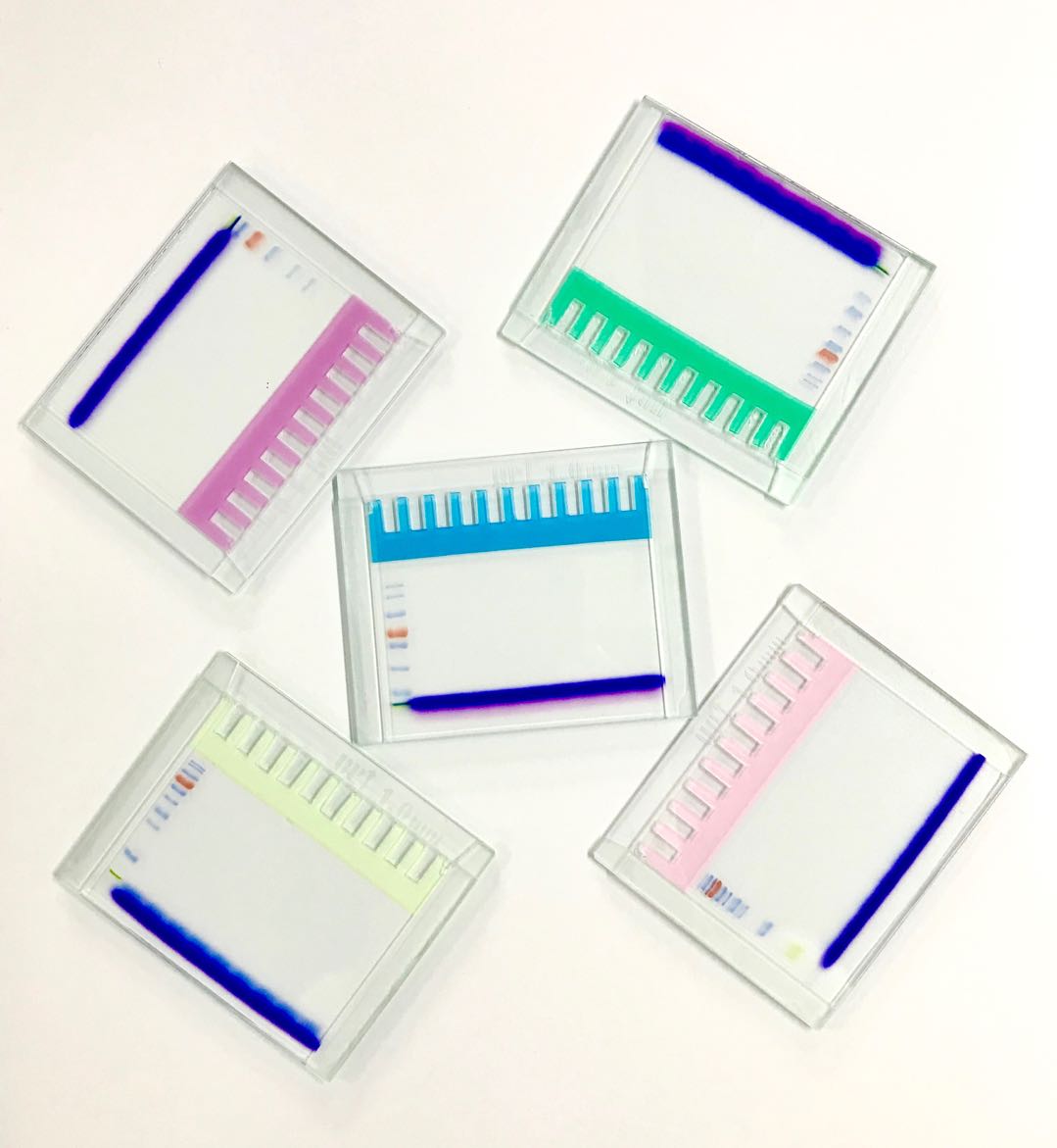 Biosharp BL566B 12% SDS-PAGE彩色凝胶快速制备试剂盒