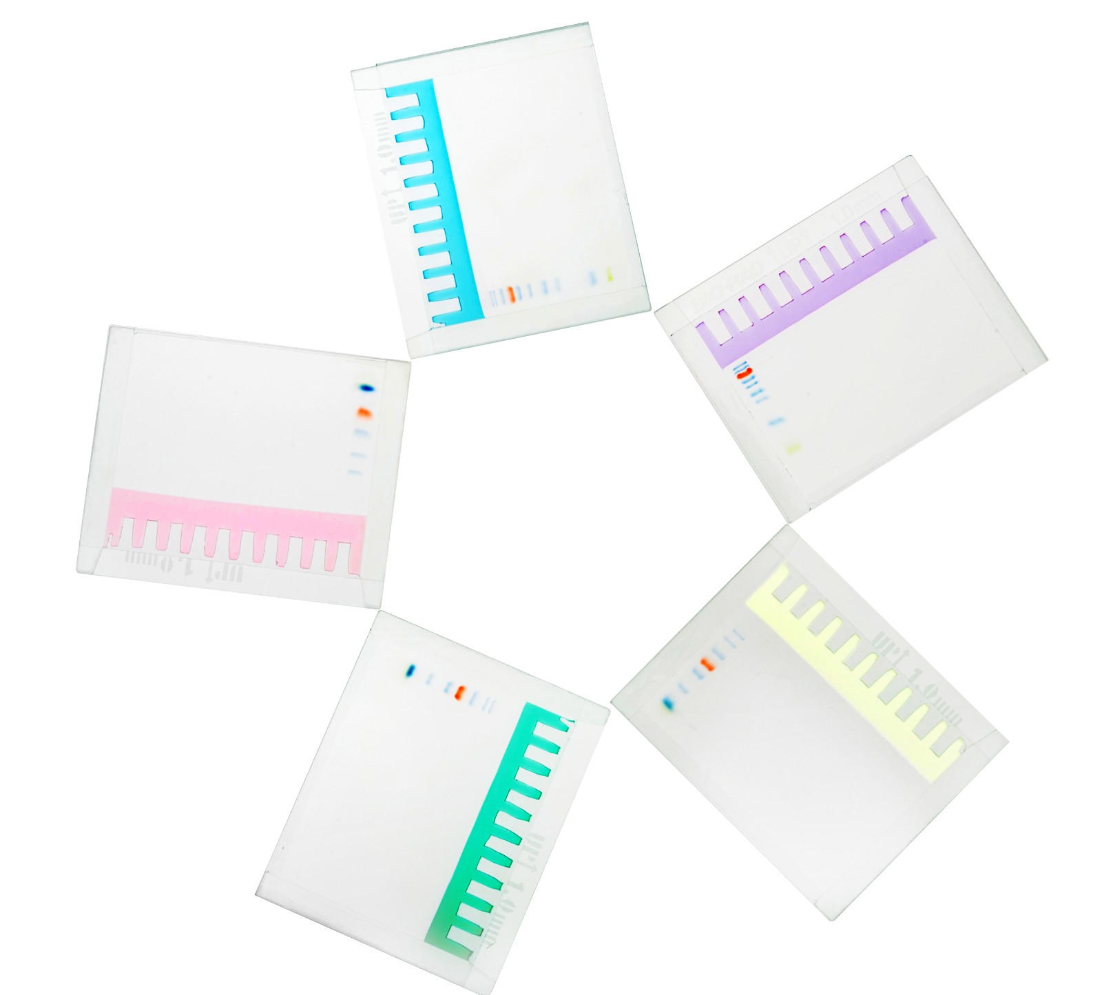 Biosharp BL566B 12% SDS-PAGE彩色凝胶快速制备试剂盒