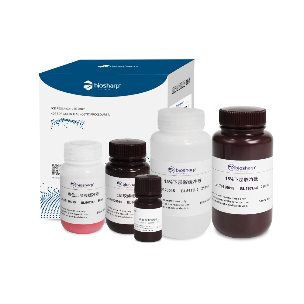 Biosharp BL567B 15% SDS-PAGE彩色凝胶快速制备试剂盒