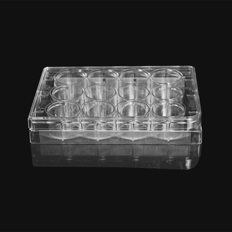 LABSELECT 11210 12孔细胞培养板