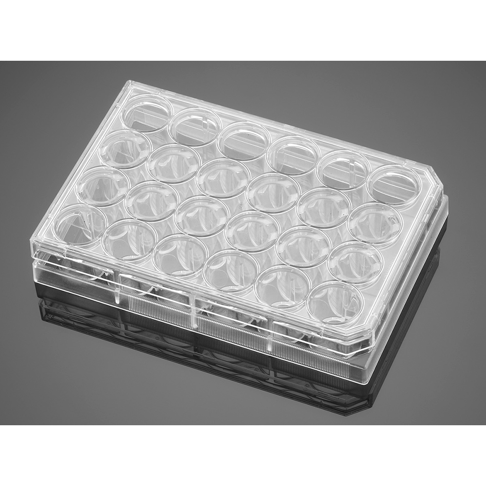 BD Biocoat 354480 细胞侵袭小室, 基质胶包被, 8.0μm, PET膜