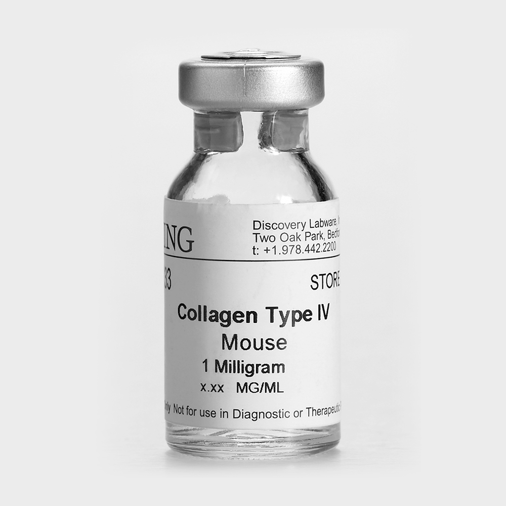 BD Biocoat 356236 鼠尾胶原蛋白I型, Collagen I, Rat Tail