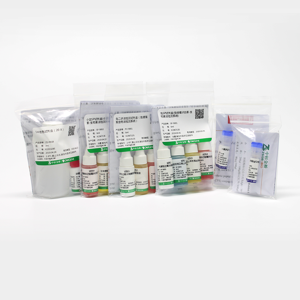 中杉 ZB-5301-0.1ml 辣根酶标记山羊抗兔IgG（H+L）（亲和纯化）