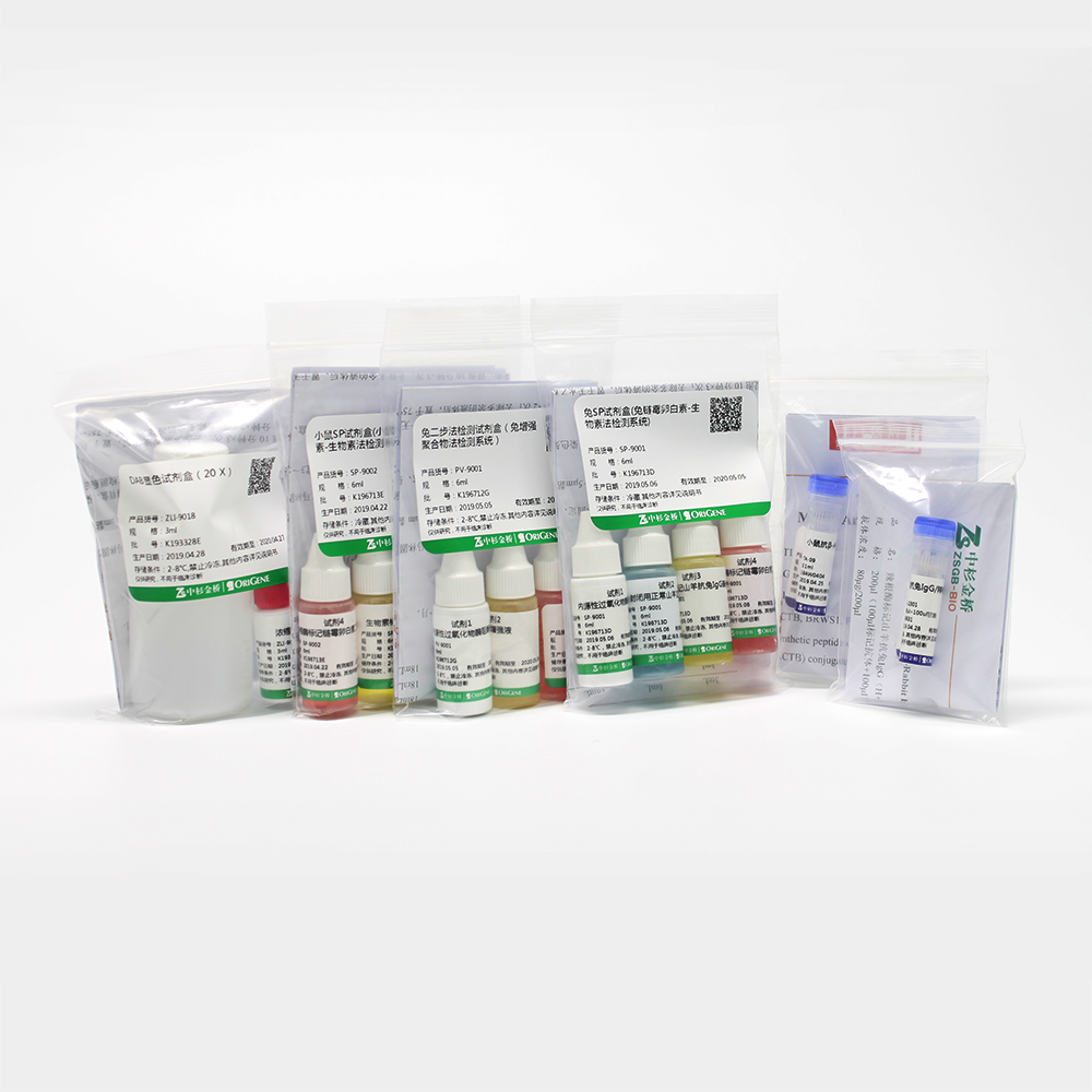 中杉 ZM-0183-6ml CD45抗体试剂（免疫组织化学）