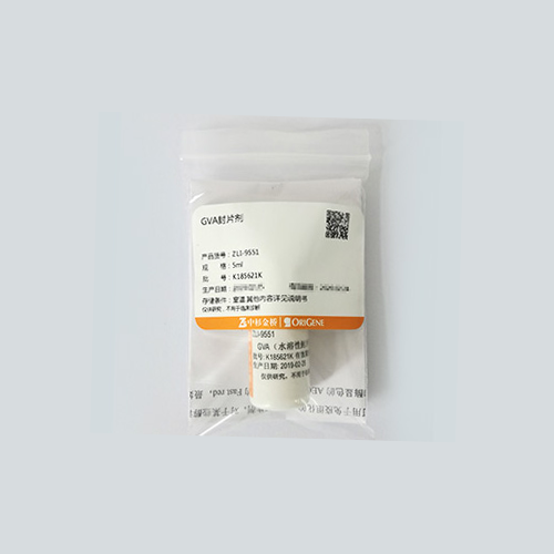 中杉 ZLI-9551 水溶性封片剂GVA