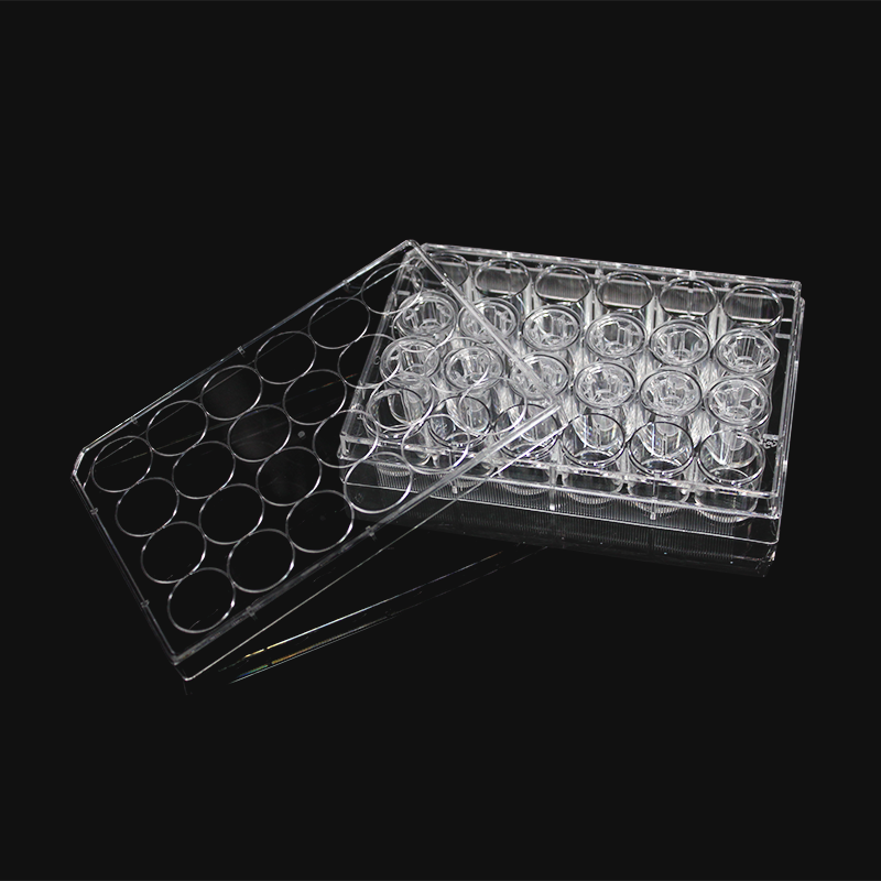 LABSELECT 14341 细胞培养小室，含24孔板（PC膜，6.5mm，孔径8.0um）