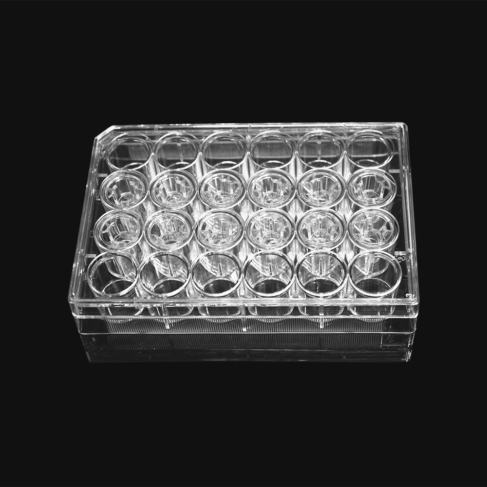 LABSELECT 14341 细胞培养小室，含24孔板（PC膜，6.5mm，孔径8.0um）