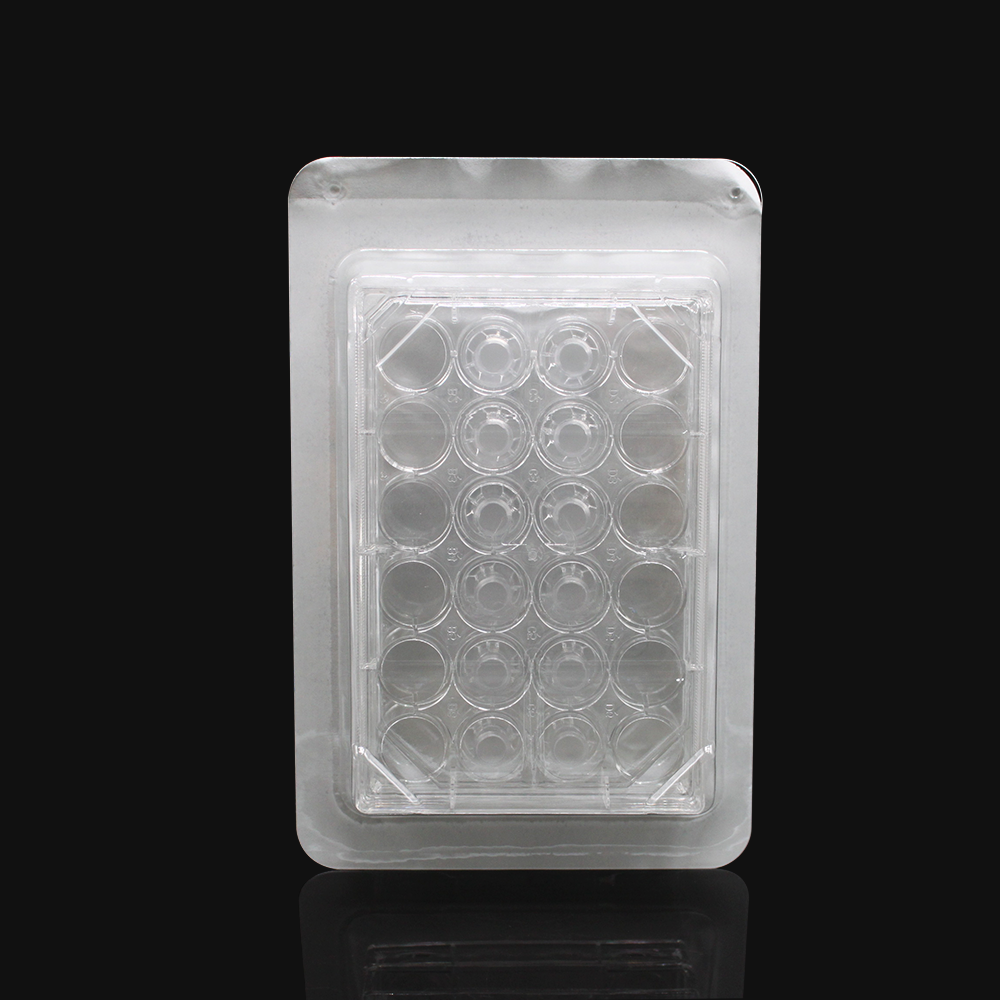 LABSELECT 14341 细胞培养小室，含24孔板（PC膜，6.5mm，孔径8.0um）
