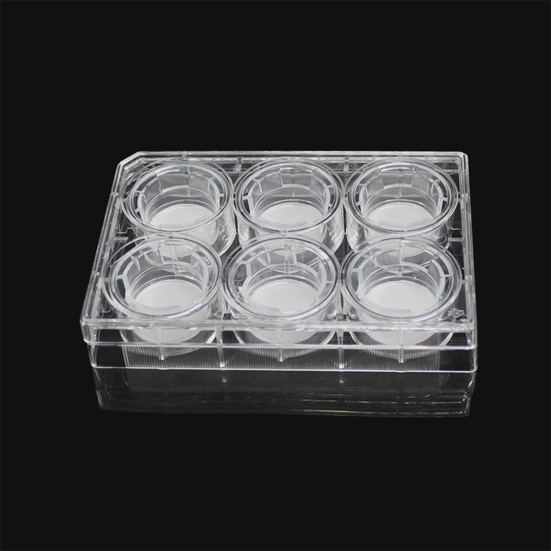 LABSELECT 14111 细胞培养小室，含6孔板（PC膜，24mm，孔径0.4um)