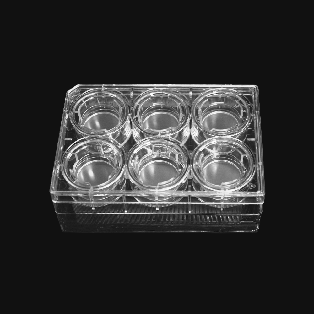 LABSELECT 14141 细胞培养小室，含6孔板（PC膜，24mm，孔径8.0um)