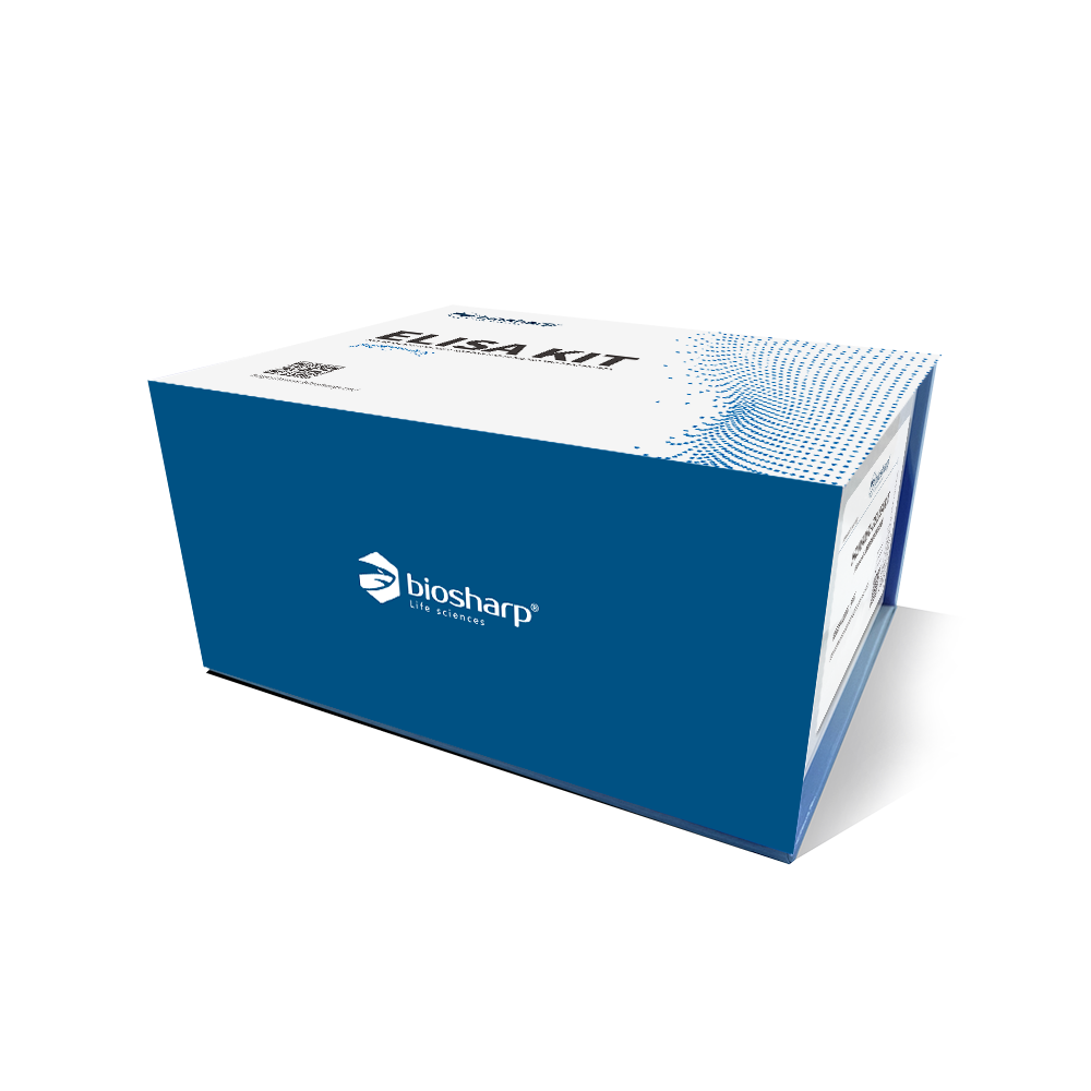 Biosharp BSEH-156-96T Human ADAMTS13 (血管性血友病因子裂解蛋白酶) ELISA KIT