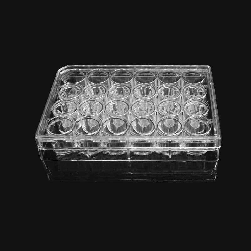 LABSELECT 14321 细胞培养小室，含24孔板（PC膜，6.5mm，孔径3.0um)
