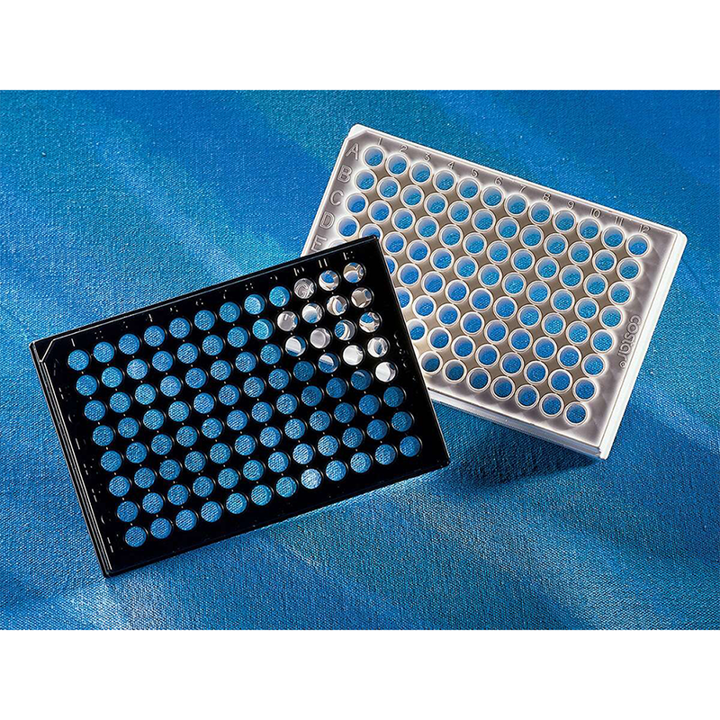 Corning 3610 96孔板,白色,透明平底带盖