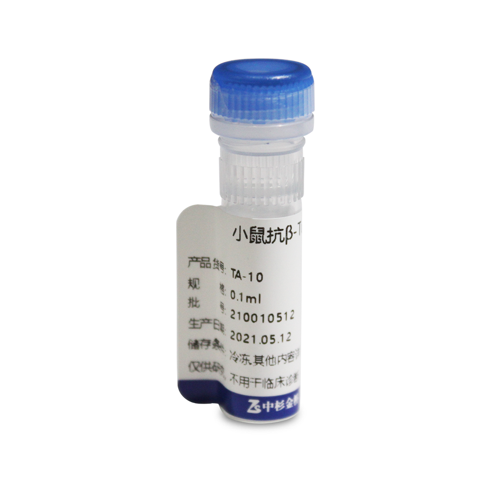 中杉 TA-10 试剂Mouse Anti-β Tubulin (TUBB4) mAb