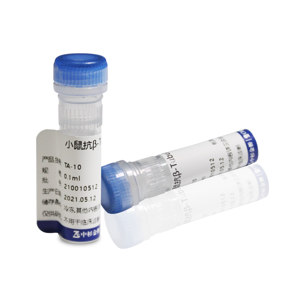 中杉 TA-10 试剂Mouse Anti-β Tubulin (TUBB4) mAb