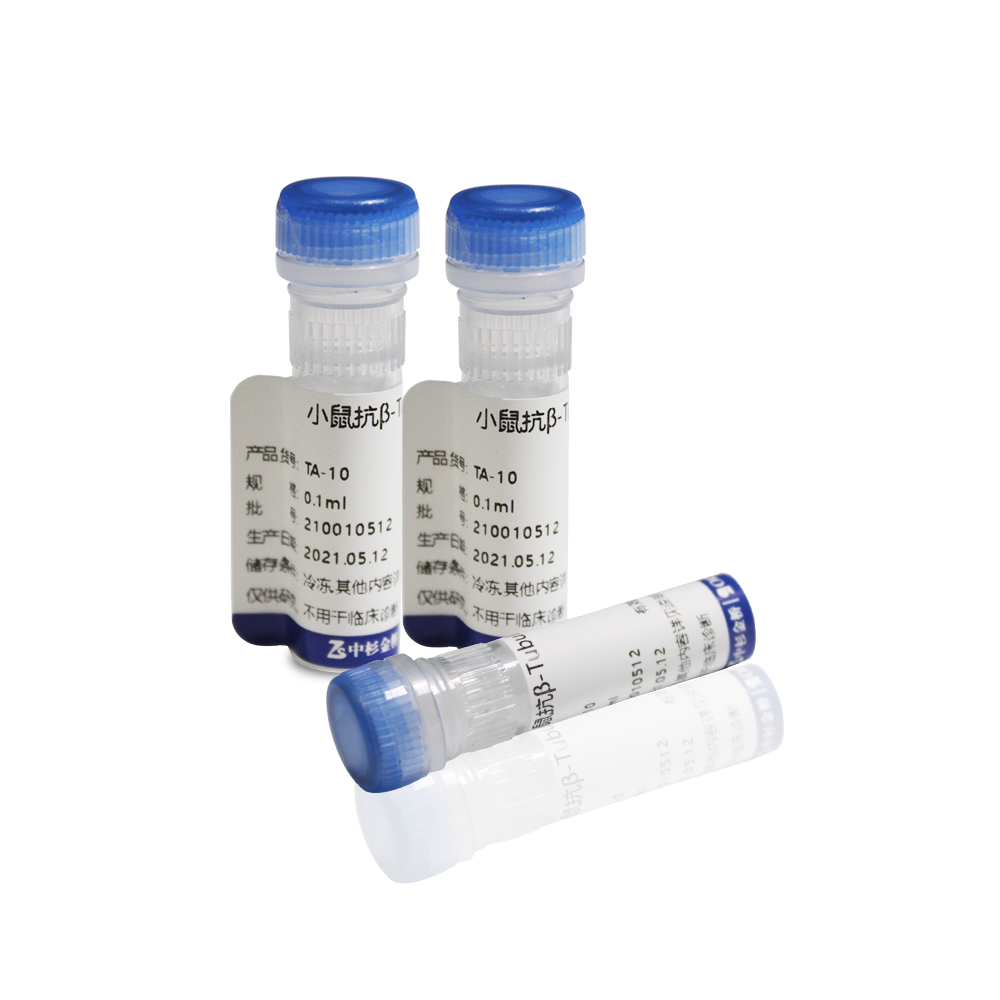 中杉 TA-10 试剂Mouse Anti-β Tubulin (TUBB4) mAb