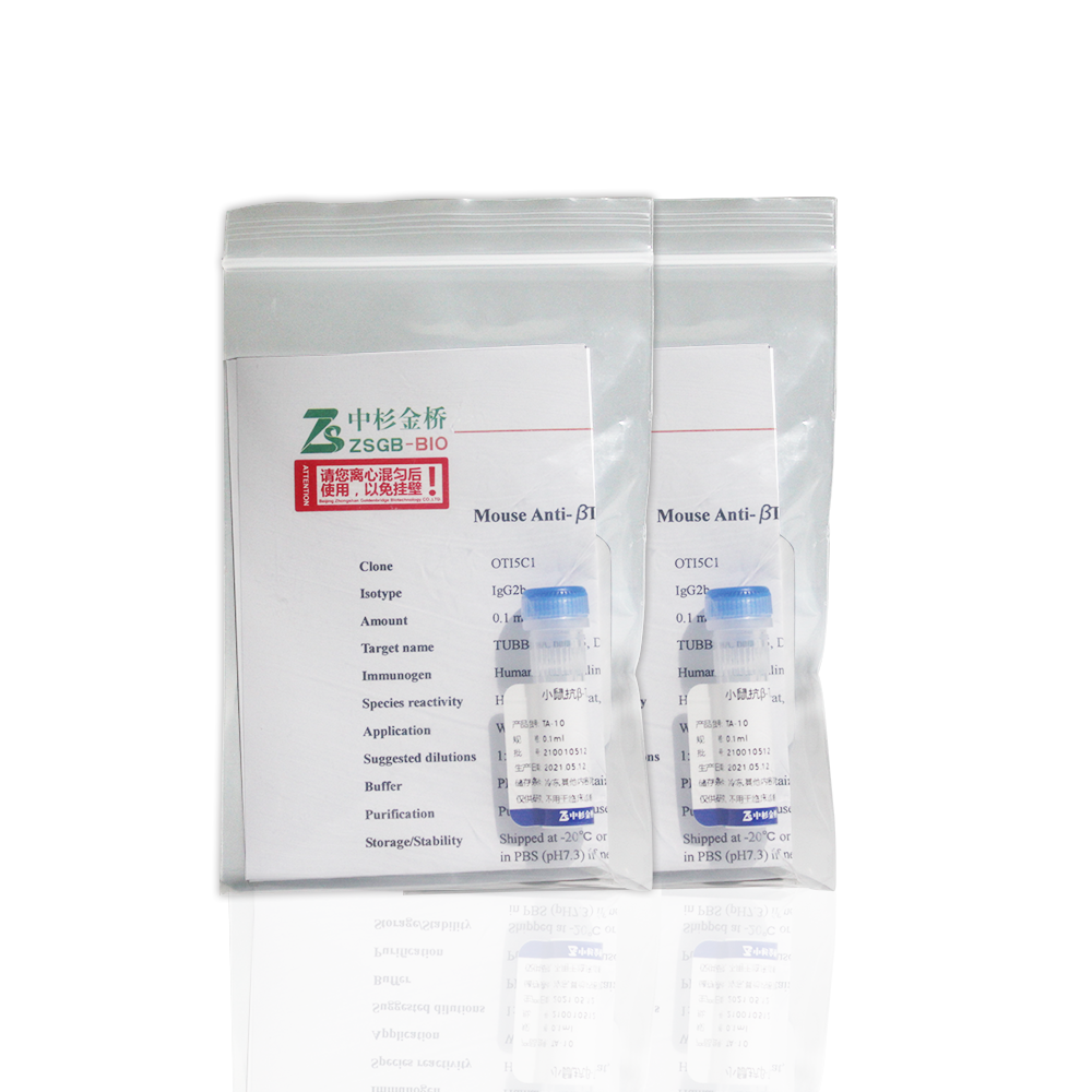 中杉 TA-10 试剂Mouse Anti-β Tubulin (TUBB4) mAb