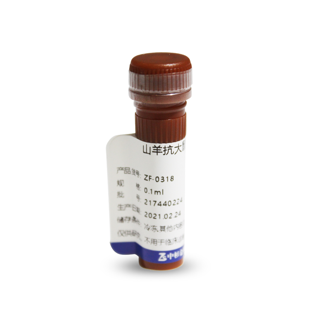 中杉 ZF-0318 罗丹明标记山羊抗大鼠IgG（H+L）（亲和纯化）