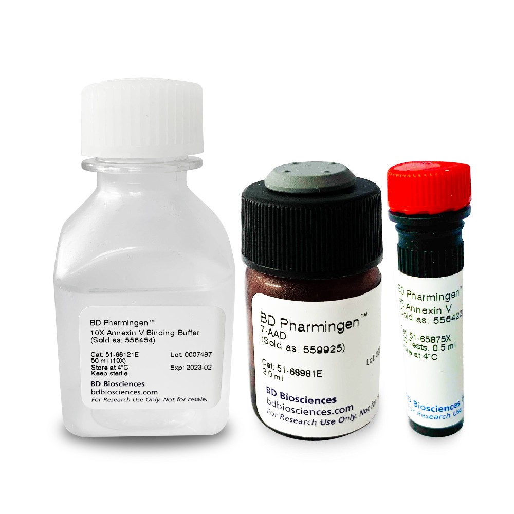 BD Pharmingen 559763 Annexin V-PE 细胞凋亡检测试剂盒
