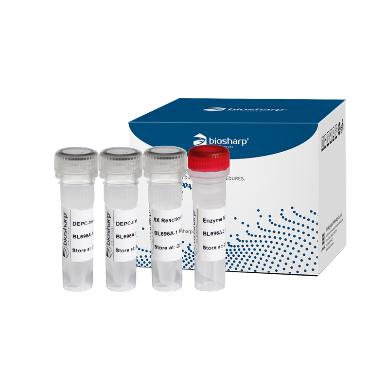 Biosharp BL696A 反转录试剂盒（含热敏双链DNA酶）