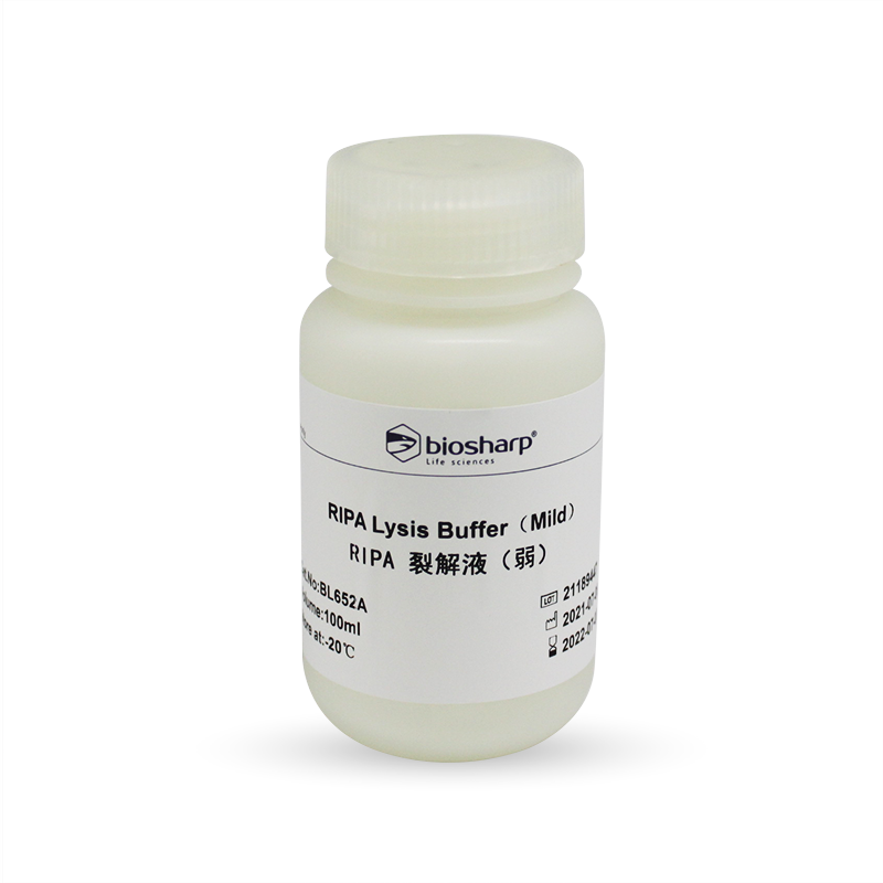 Biosharp BL652A RIPA裂解液（弱）
