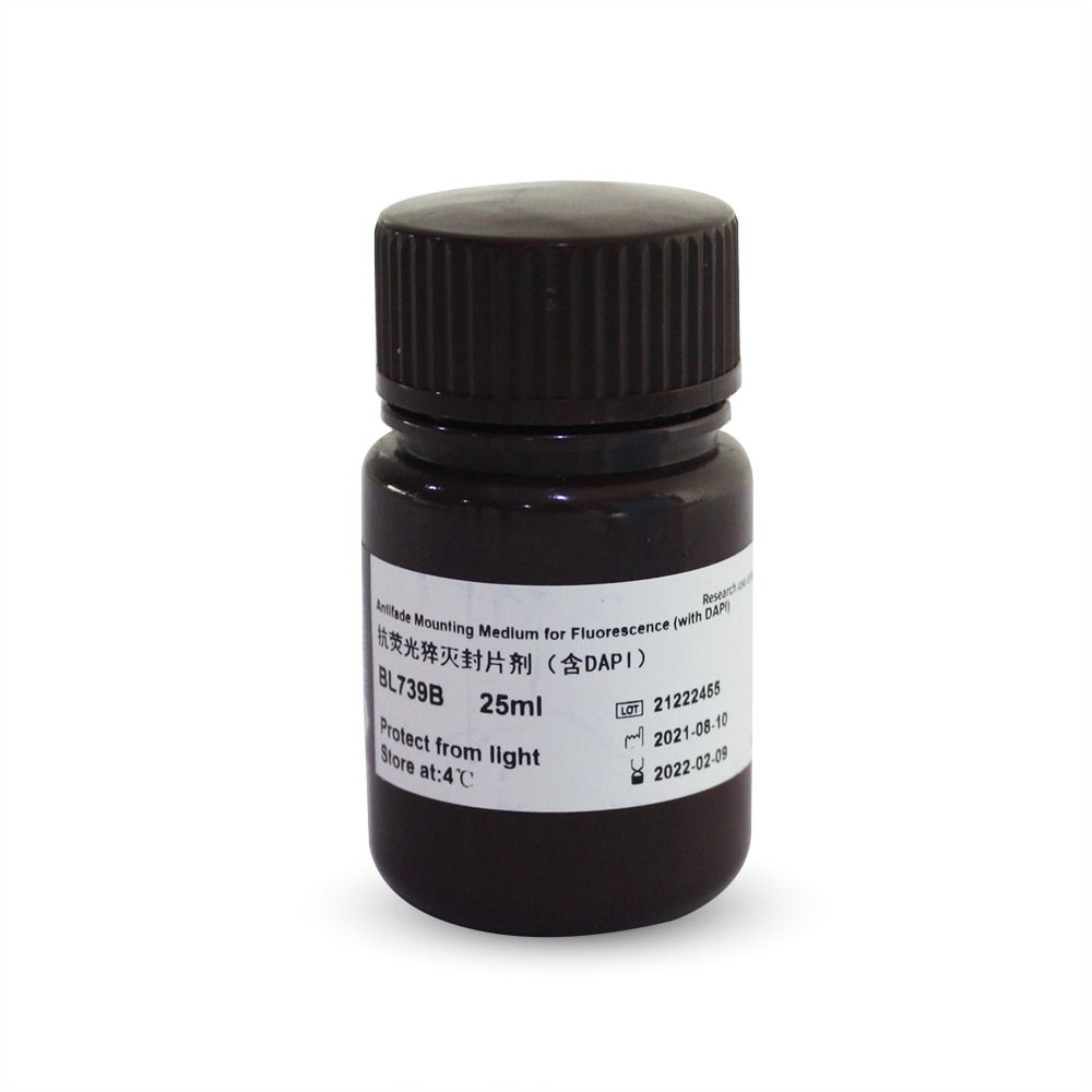 Biosharp BL739B 抗荧光淬灭封片剂(含DAPI)
