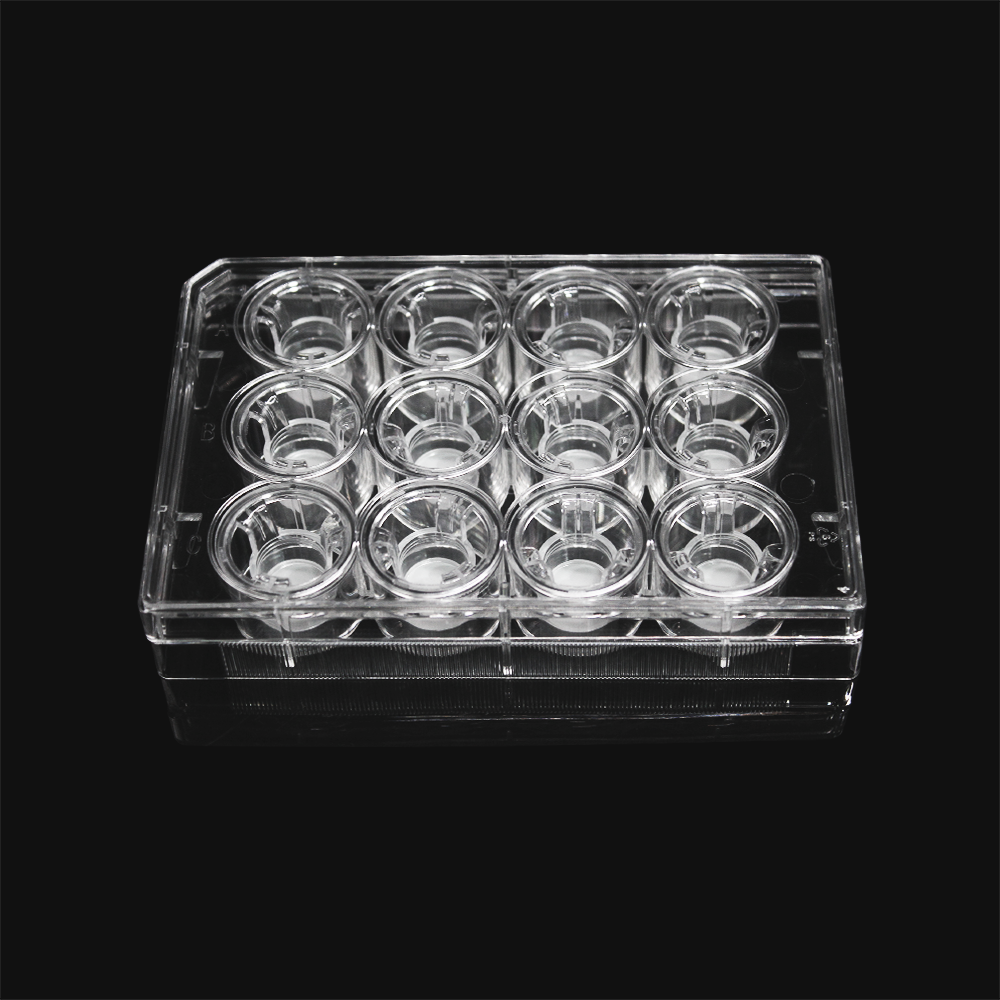 LABSELECT 14221 细胞培养小室，含12孔板（PC膜，12mm，孔径3.0um）