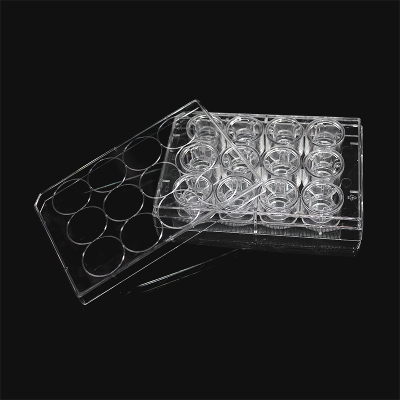 LABSELECT 14222 细胞培养小室，含12孔板（PET膜，12mm，孔径3.0um）