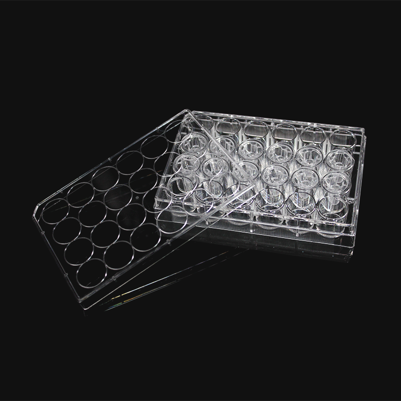 LABSELECT 14322 细胞培养小室，含24孔板（PET膜，6.5mm，孔径3.0um）