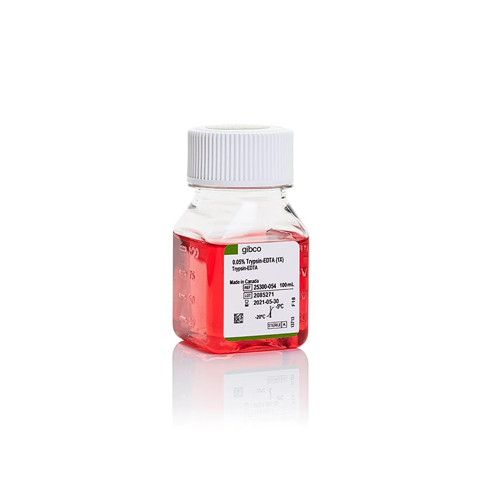 Invitrogen 25300-054 胰蛋白酶-EDTA (0.05%), 酚红