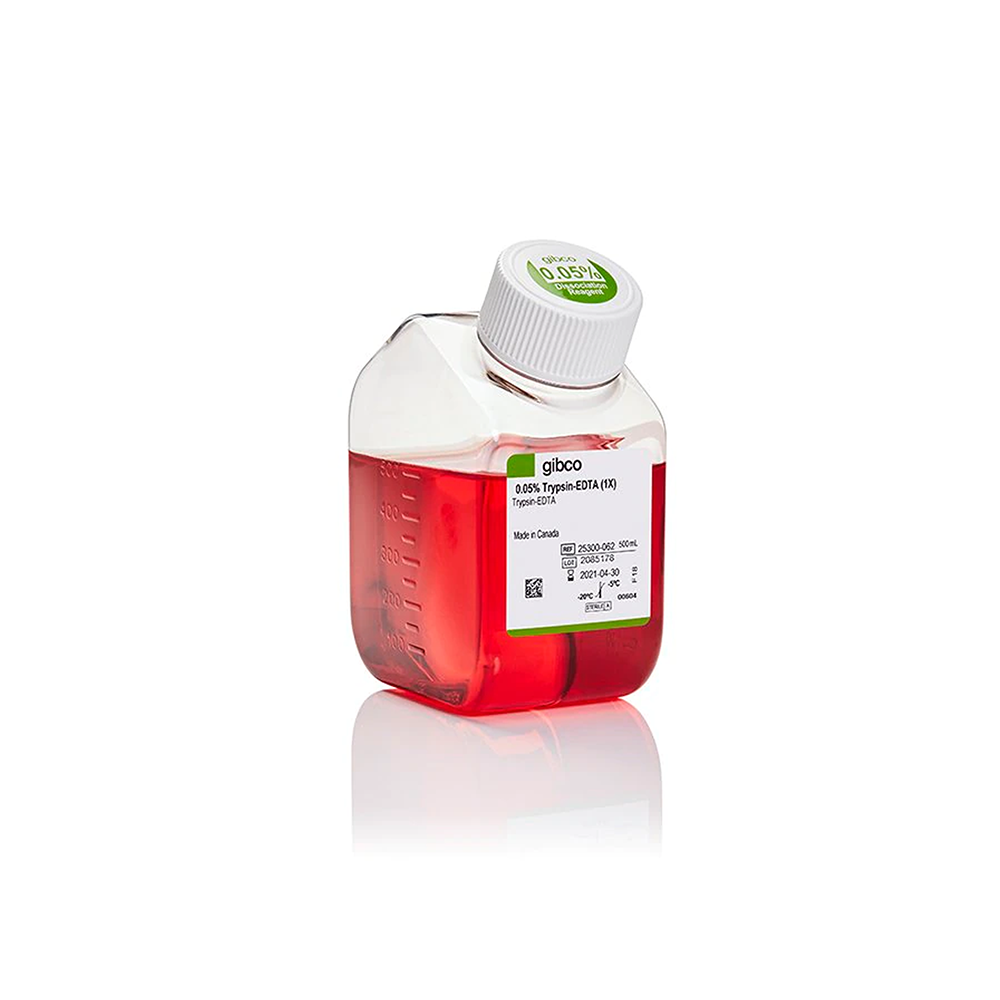 Invitrogen 25300-062 胰蛋白酶-EDTA (0.05%), 酚红