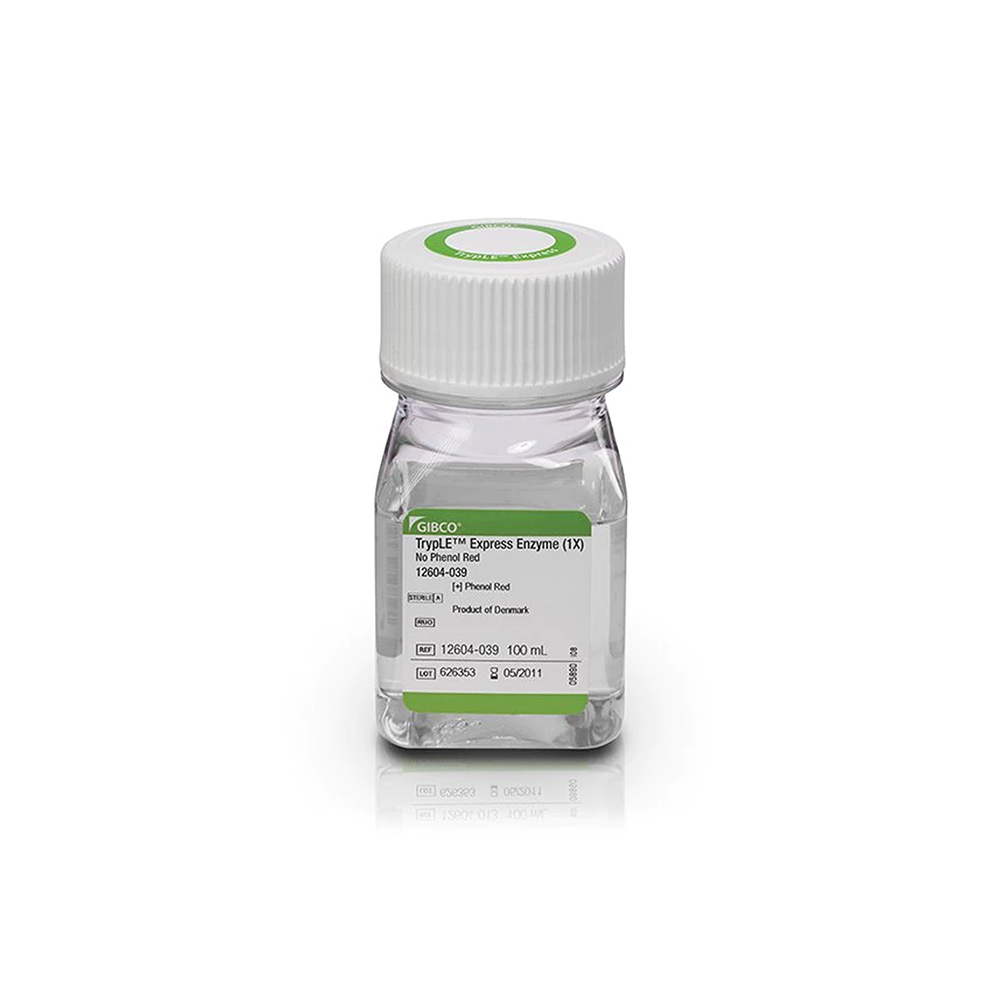 Invitrogen 12604-039 胰蛋白酶 (1-250)，粉末