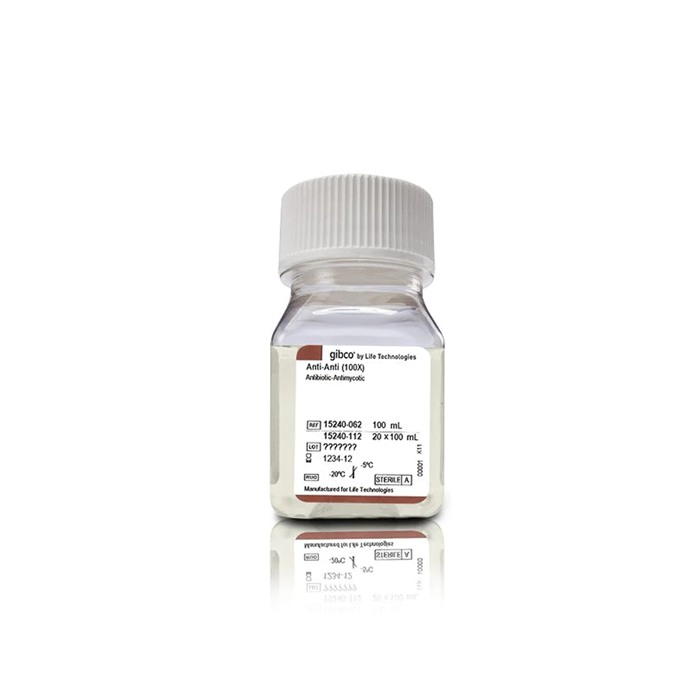 Invitrogen 15240-112 青/链霉素，两性霉素B (100X)