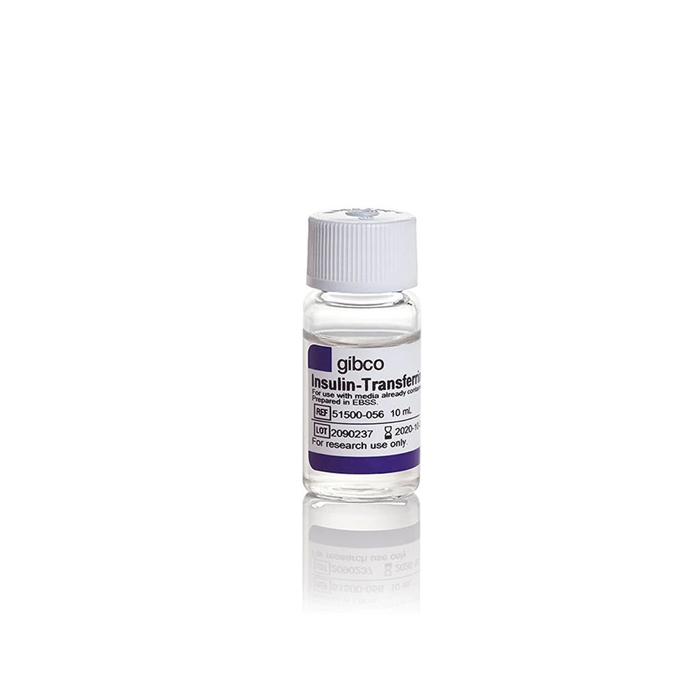 Invitrogen 51500-056 胰岛素-转铁蛋白-硒-氨基乙醇 (ITS -X) (100X)