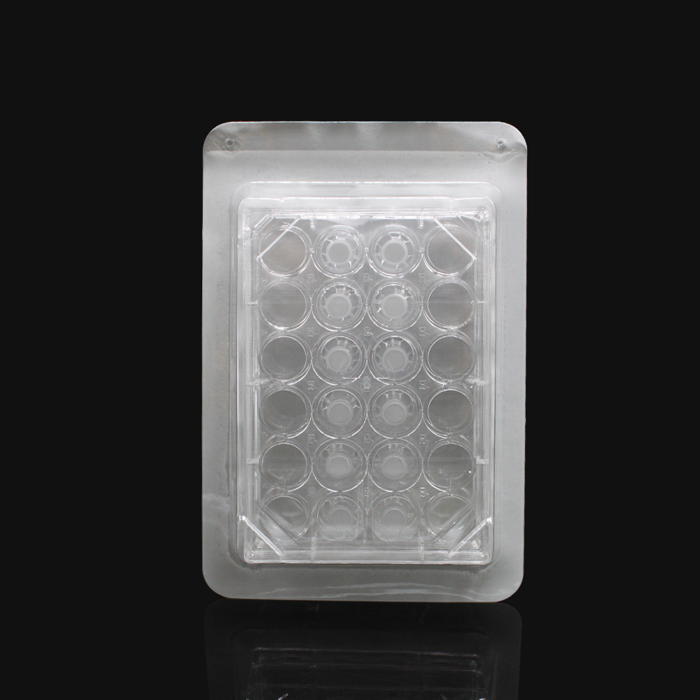 LABSELECT 14351 细胞培养小室，含24孔板 (PC膜，6.5mm，孔径1.0um)