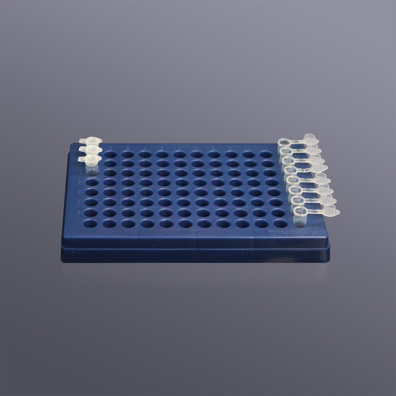 Biosharp BS-02-PB96-B 0.2ml薄壁管盒,蓝色