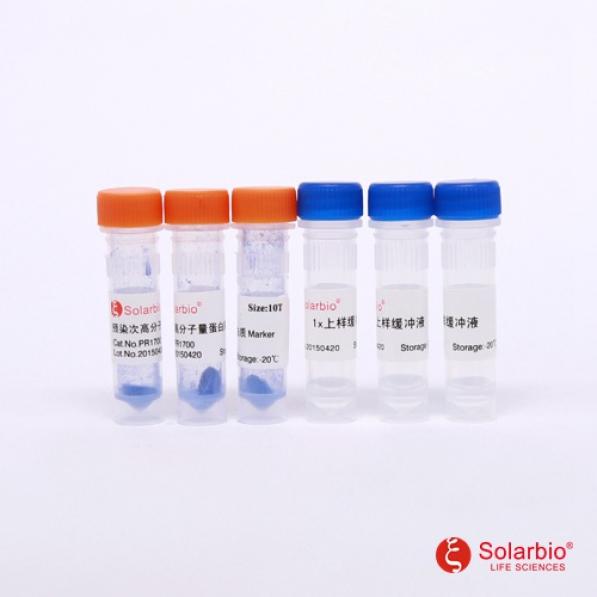 Solarbio PR1700 蓝色预染次高分子量蛋白质Marker(43-200kDa)