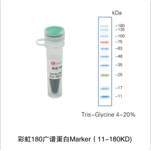 Solarbio PR1910 彩虹180广谱蛋白Marker（11-180KD)