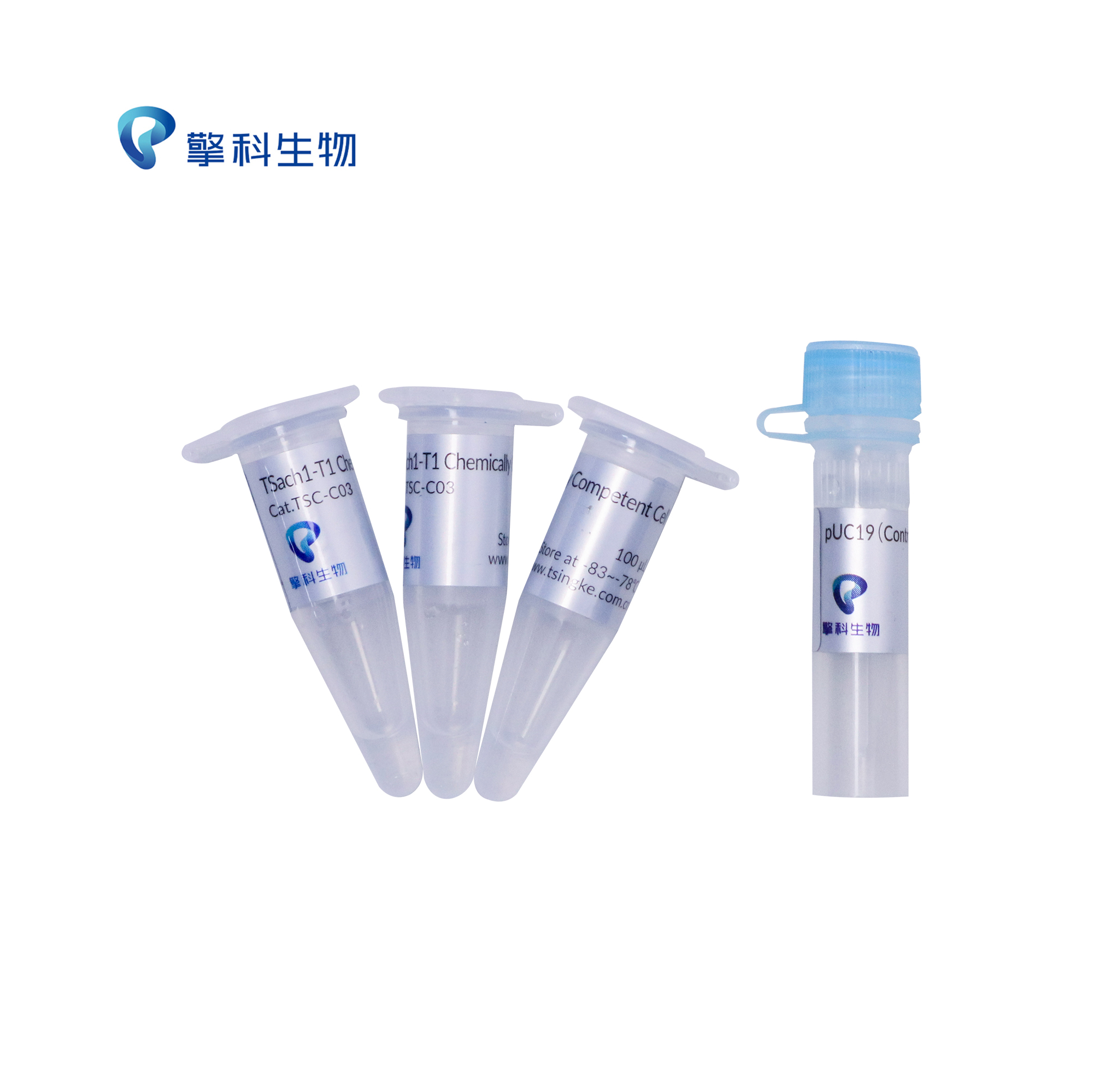 TSINGKE TSC-C03 TSach1-T1 Chemically Competent Cell