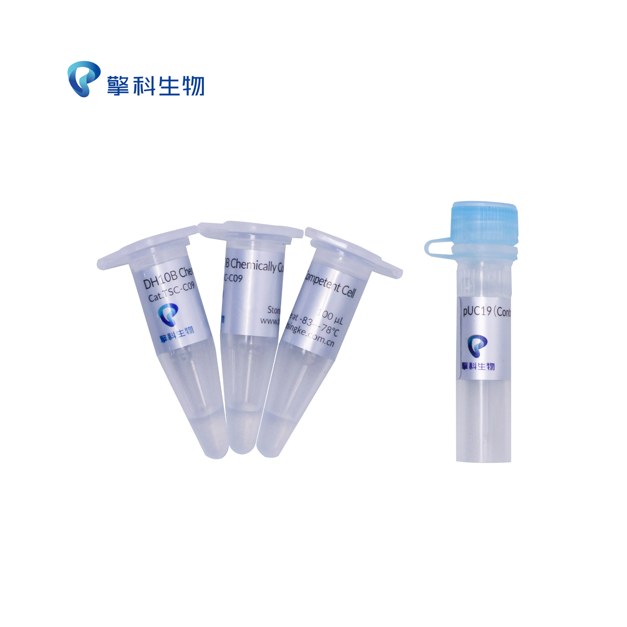 TSINGKE TSC-C09 DH10B Chemically Competent Cell