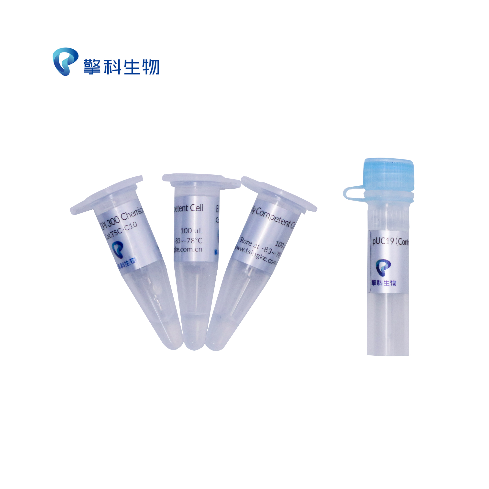 TSINGKE TSC-C10 EPI300 Chemically Competent Cell