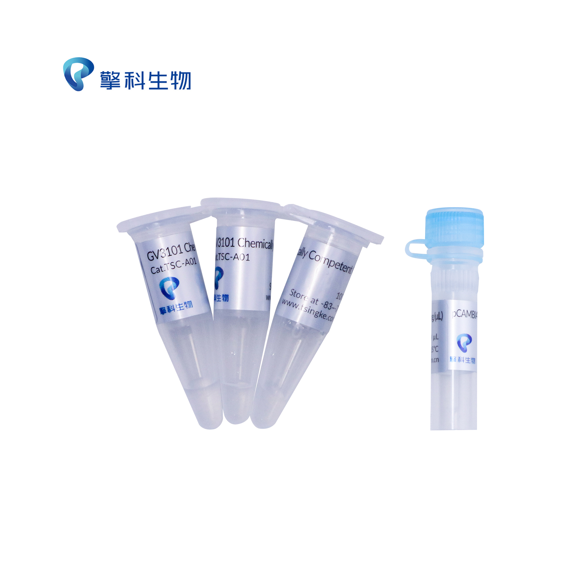TSINGKE TSC-A01 GV3101 Chemically Competent Cell