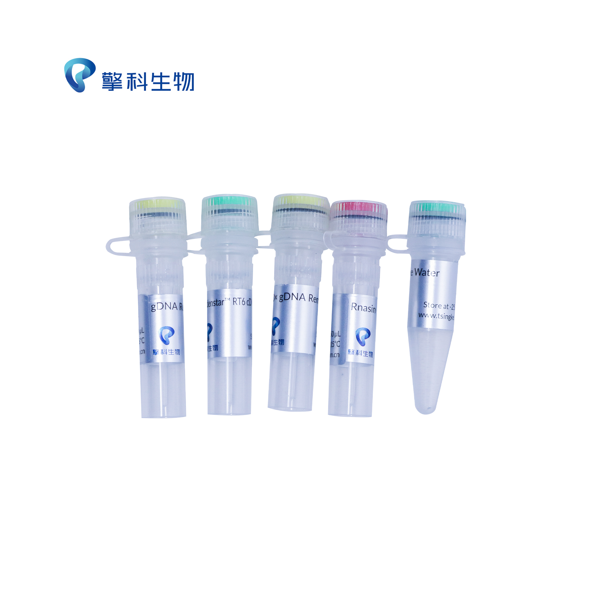 TSINGKE TSK314S Goldenstar™ RT6 cDNA Synthesis Mix (gDNA remover and Rnasin selected)