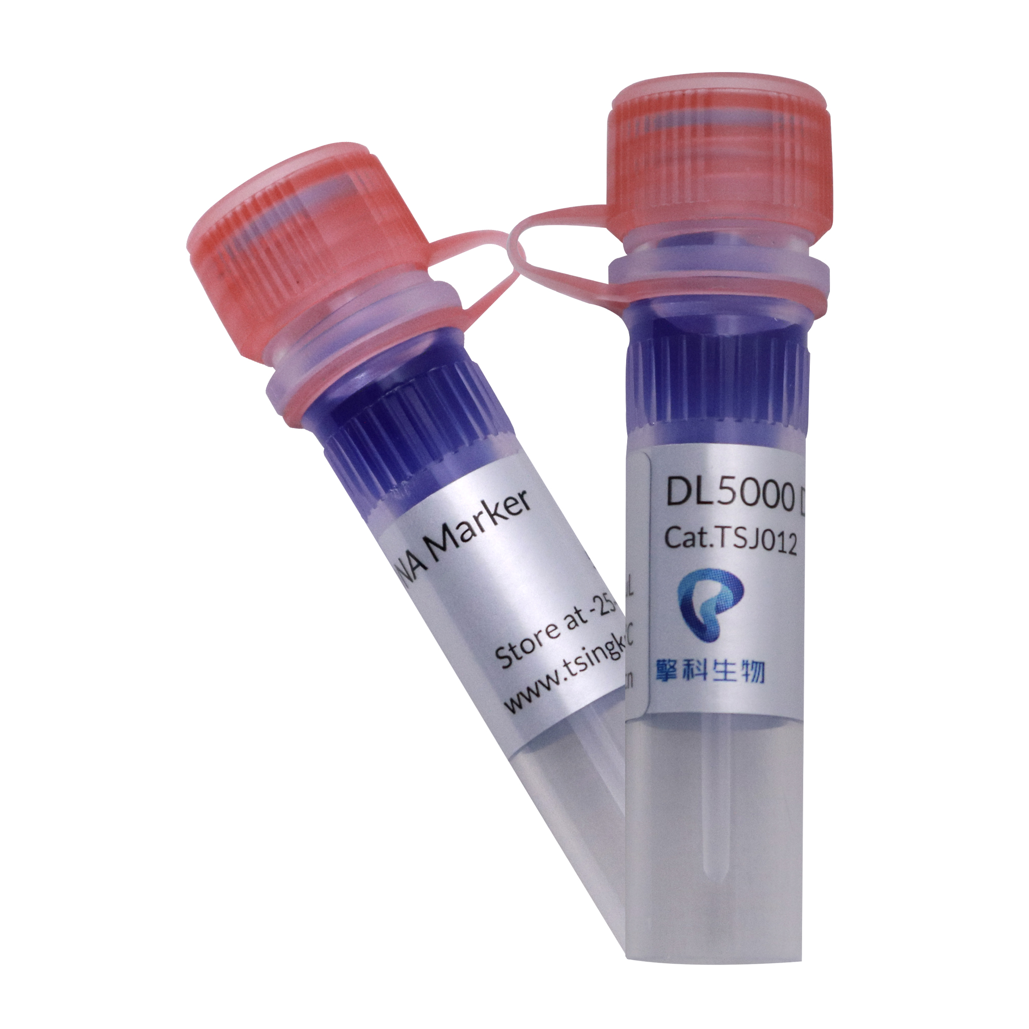 TSINGKE TSJ012-100 DL5000 DNA Marker
