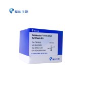 TSINGKE TSK301S Goldenstar™ RT6 cDNA Synthesis Kit