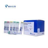 TSINGKE TSK301S Goldenstar™ RT6 cDNA Synthesis Kit