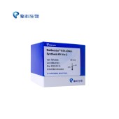 TSINGKE TSK302S Goldenstar™ RT6 cDNA Synthesis Kit Ver.2