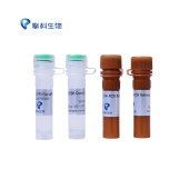 TSINGKE TSE202 2×T5 Fast qPCR Mix (SYBR Green I)
